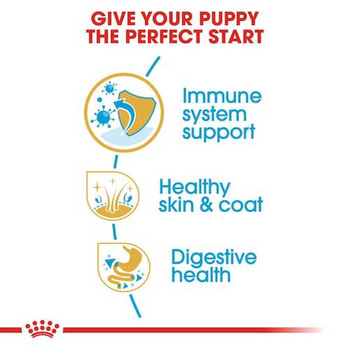 ROYAL CANIN GOLDEN RETRIEVER JUNIOR 3K XIRA TROFI SKuLOu